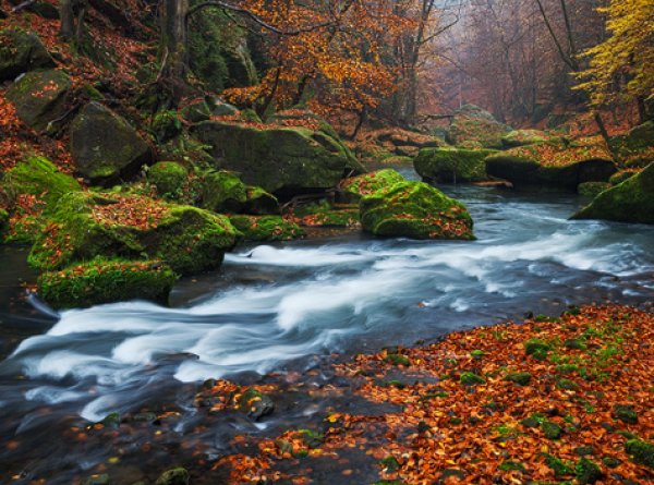 Gorges of the River Kamenice | Northern Hikes - Czech tours