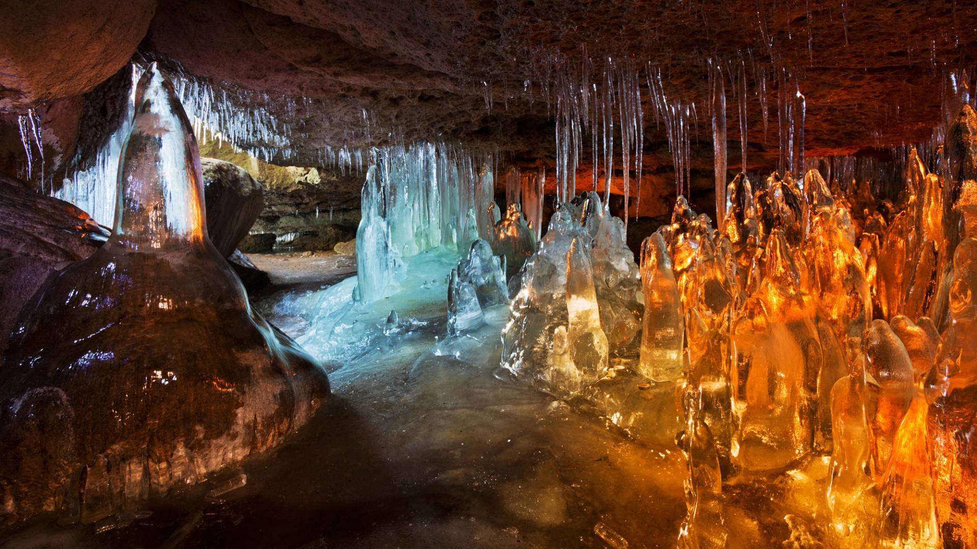 Даниэль Рерича фотограф